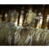 JUNGLE-HAMMOCK-TERRAIN-2